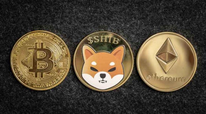 Criptomoneda Shiba Inu