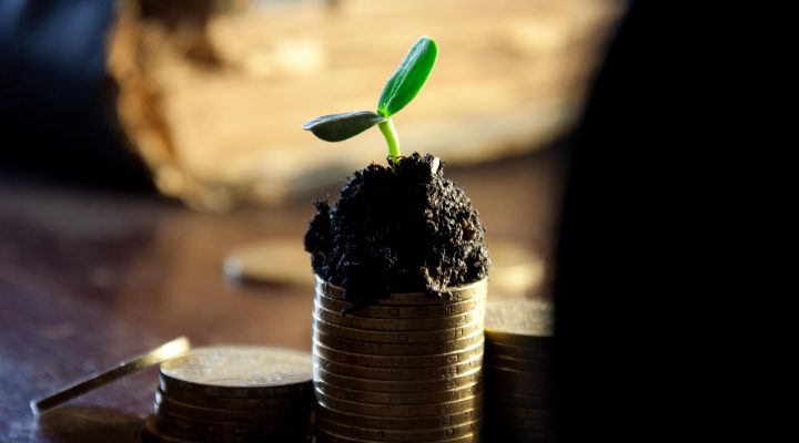 Monedas apiladas que representan los dividendos: cómo evaluar acciones de dividendos