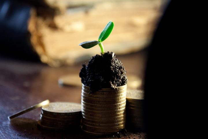 Monedas apiladas que representan los dividendos: cómo evaluar acciones de dividendos